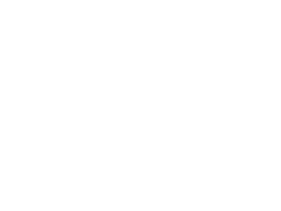 biga-traino