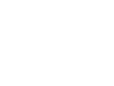 biga-trasporto